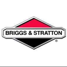 Бензиновые генераторы Briggs & Stratton
